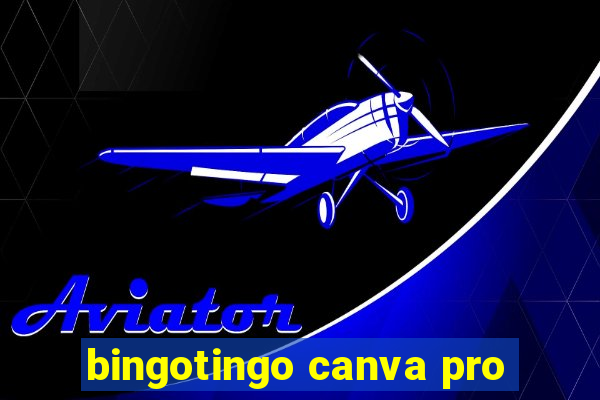 bingotingo canva pro